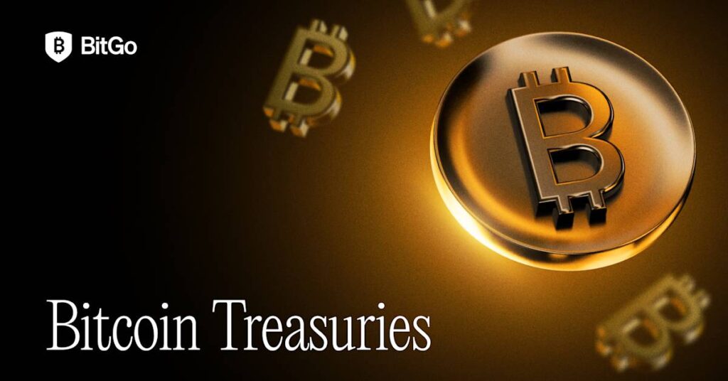Bitcoin Treasury Companies